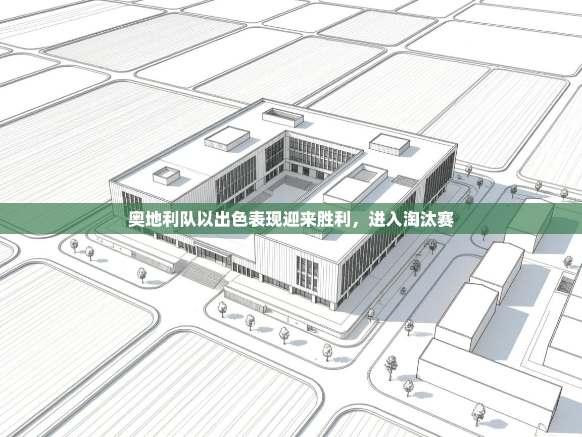 奥地利队以出色表现迎来胜利，进入淘汰赛  第1张