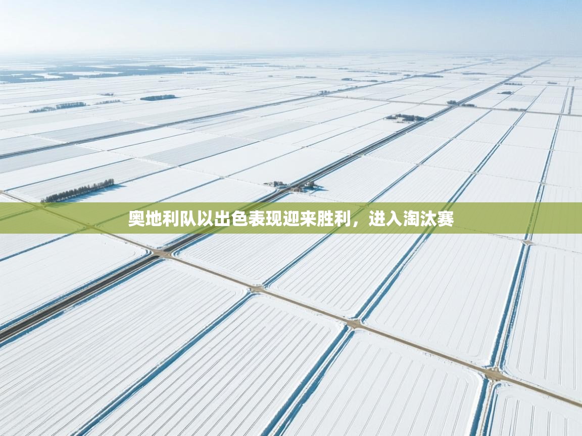 奥地利队以出色表现迎来胜利，进入淘汰赛  第2张