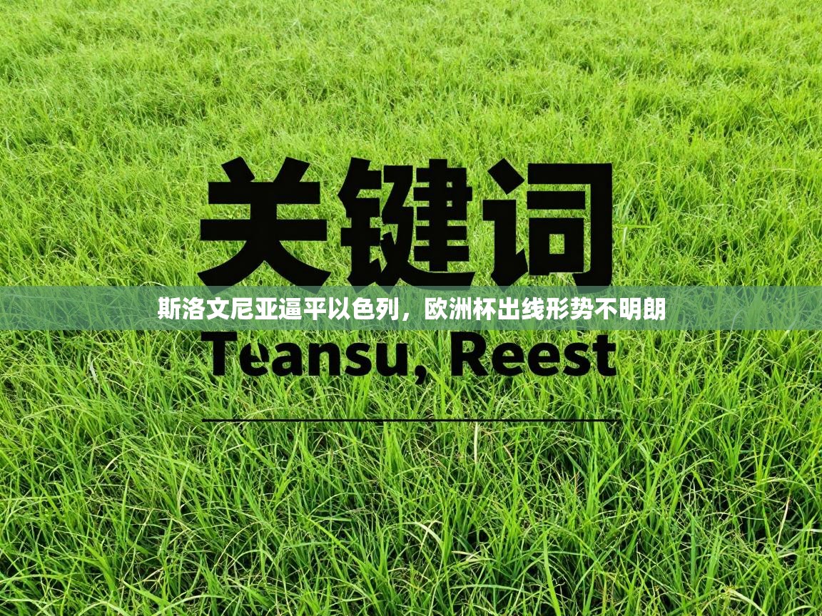 斯洛文尼亚逼平以色列，欧洲杯出线形势不明朗  第2张